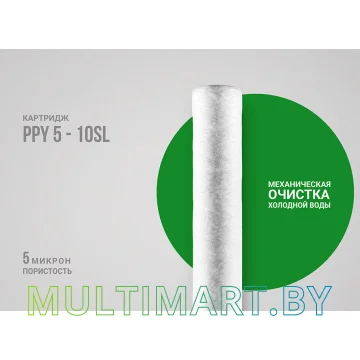 Картридж Гейзер PPY5 10SL картинка 2